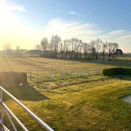 Blauw Aan Zee 德帕内