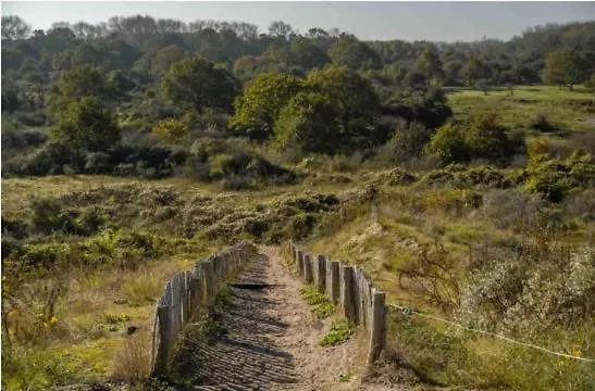 ヴィラ Blauw Aan Zee デ パンネ